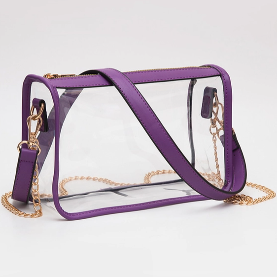 Rectangle Clear Purse in Purple