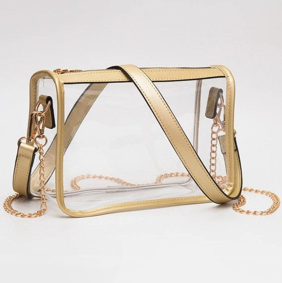 Rectangle Clear Purse in Gold